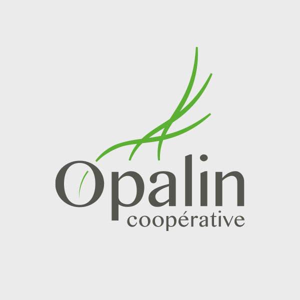 logo opalin carré